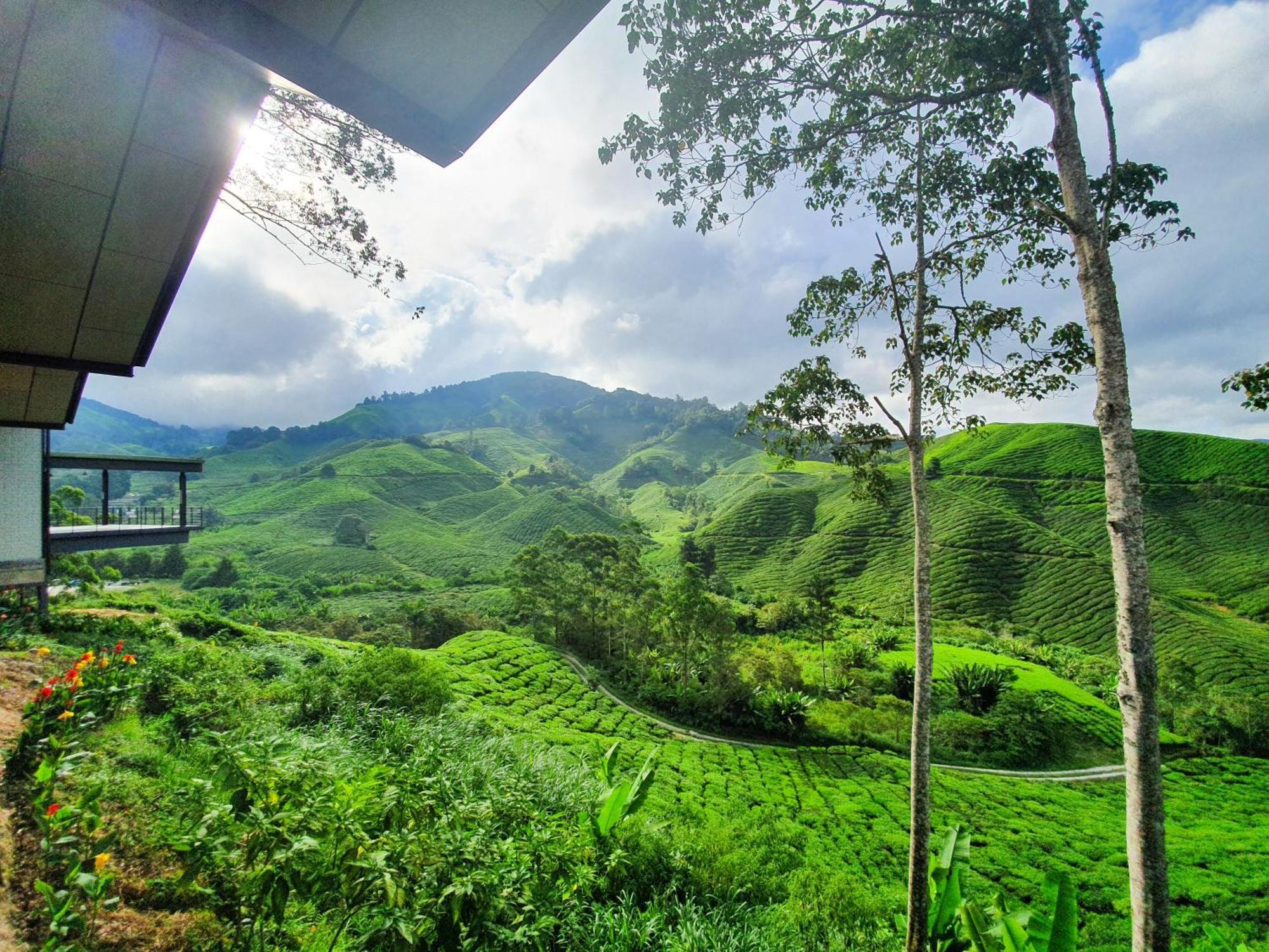 Mossy Forest Family Retreat Ii, 2-8 Pax, Cameron Highlands Exteriér fotografie